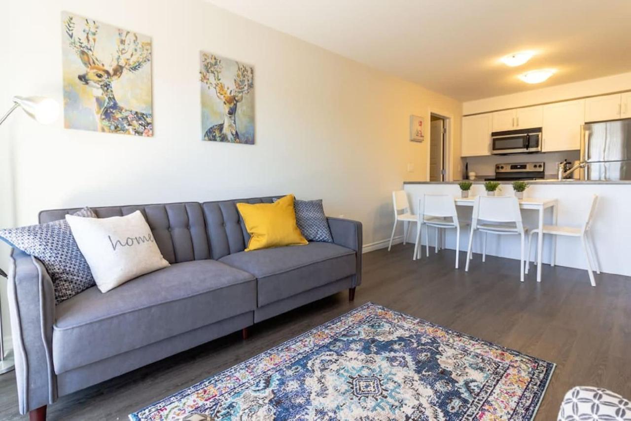 Newly Renovated Modern Condo Near Hospital, Unb Patio & Parking Coffee Сейнт Джон Екстериор снимка