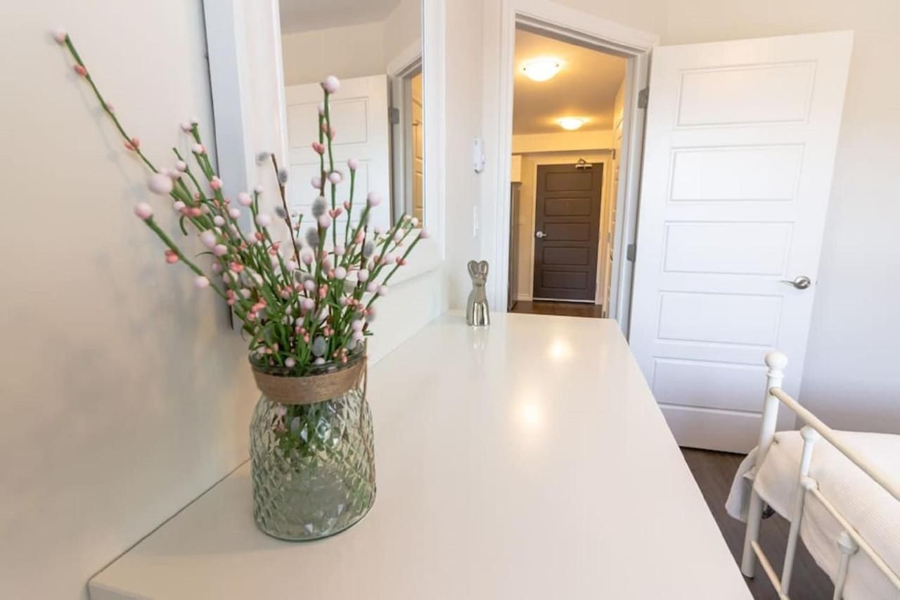 Newly Renovated Modern Condo Near Hospital, Unb Patio & Parking Coffee Сейнт Джон Екстериор снимка