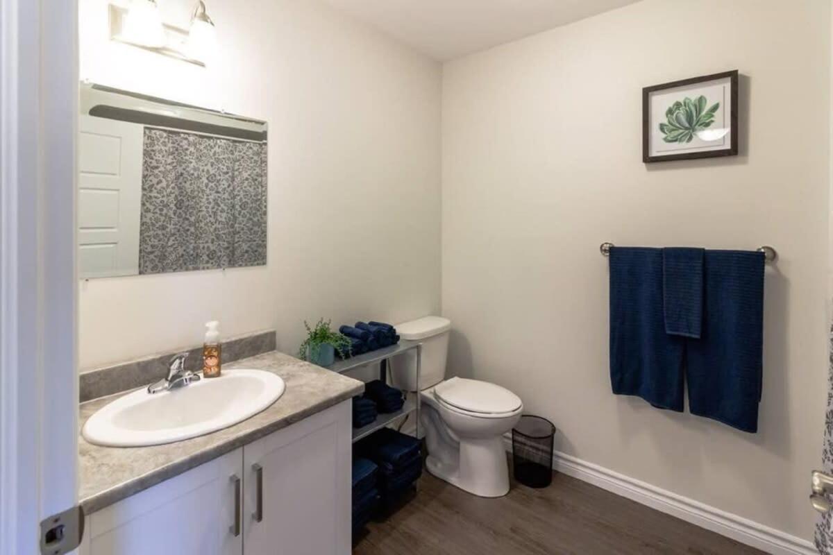 Newly Renovated Modern Condo Near Hospital, Unb Patio & Parking Coffee Сейнт Джон Екстериор снимка